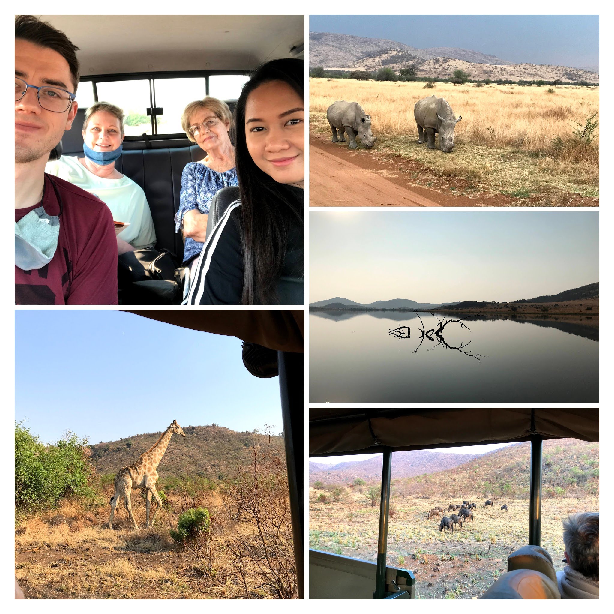 Pilanesberg Safari.jpeg